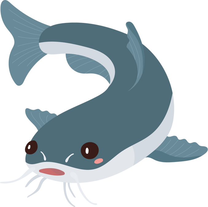 Catfish Animal Illustration